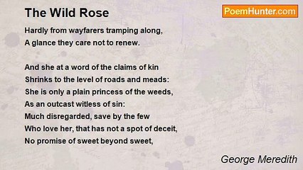 George Meredith - The Wild Rose