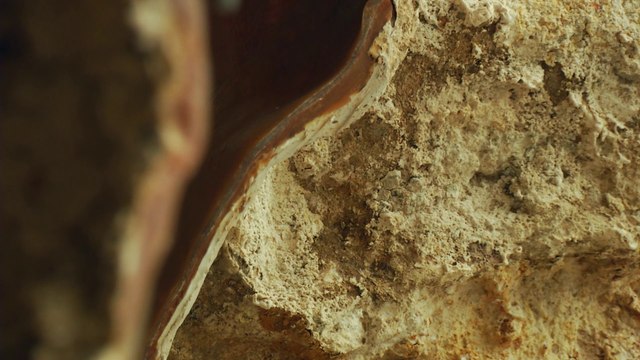 FIAC Hors les murs au Jardin des Plantes : l'Envers du Vide