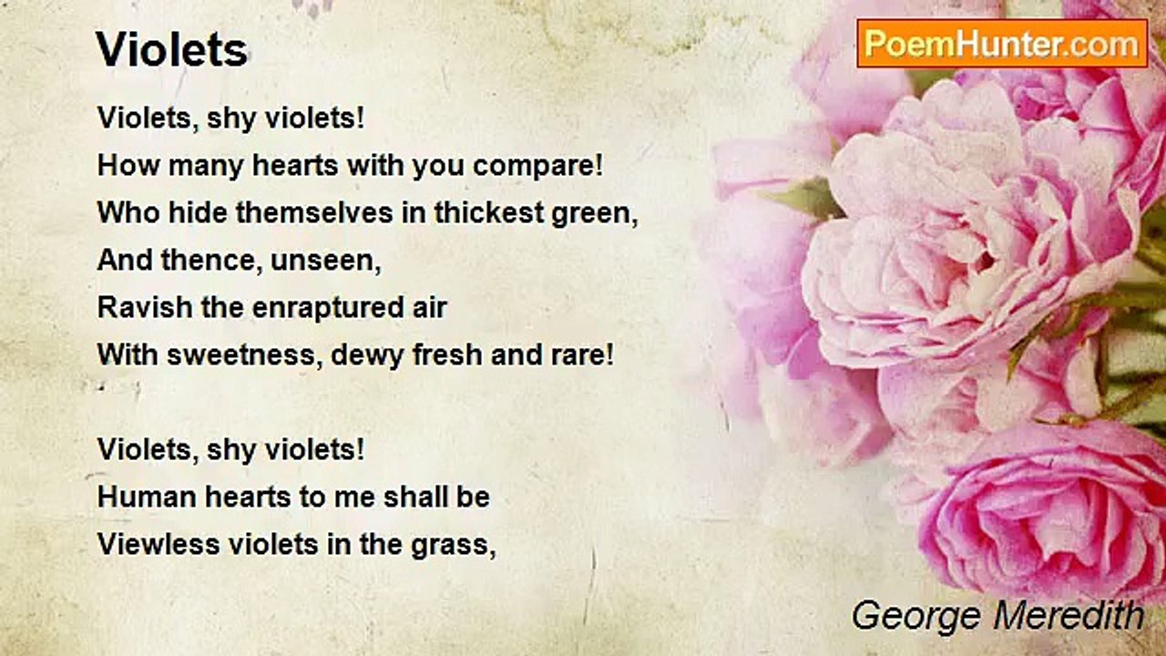 George Meredith - Violets