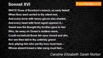Caroline Elizabeth Sarah Norton - Sonnet XVI