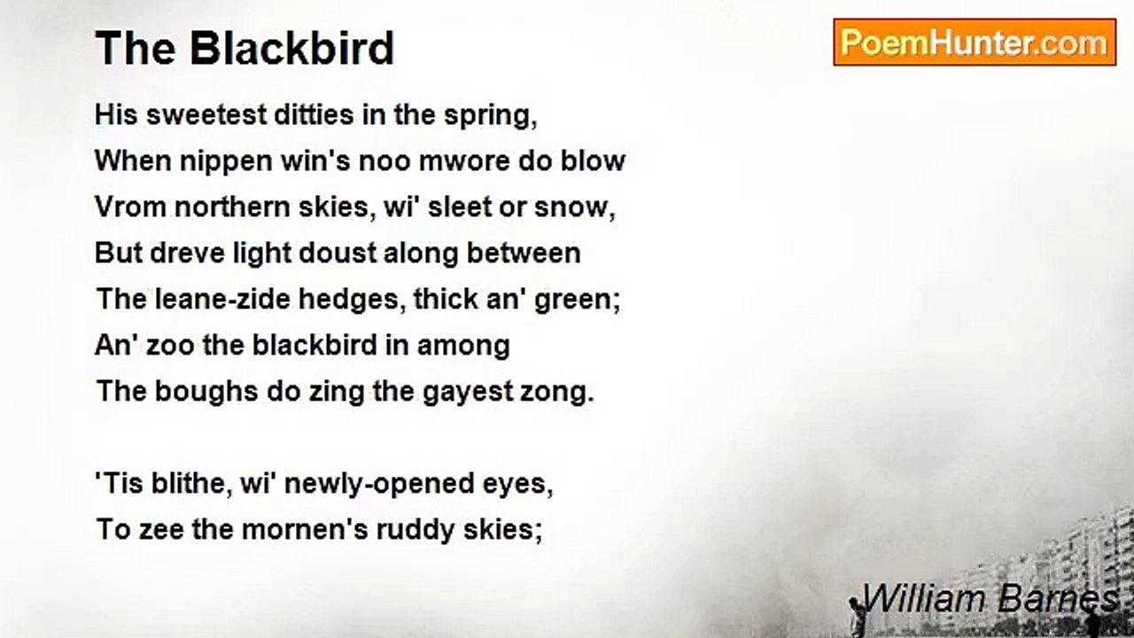 William Barnes - The Blackbird