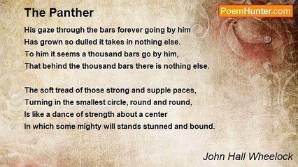 John Hall Wheelock - The Panther