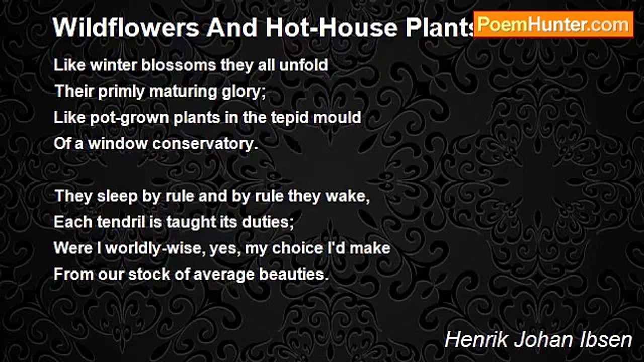 Henrik Johan Ibsen - Wildflowers And Hot-House Plants