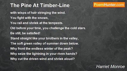 Harriet Monroe - The Pine At Timber-Line