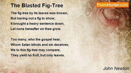 John Newton - The Blasted Fig-Tree