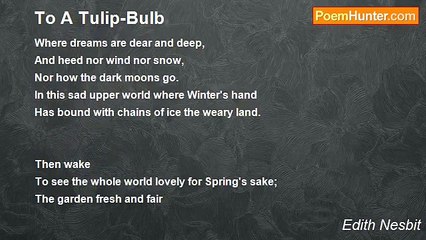 Edith Nesbit - To A Tulip-Bulb