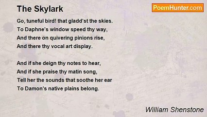 William Shenstone - The Skylark