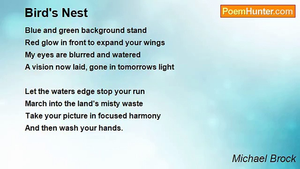 Michael Brock - Bird's Nest