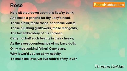 Thomas Dekker - Rose