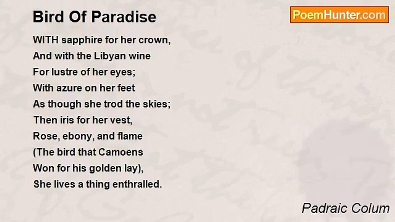 Padraic Colum - Bird Of Paradise