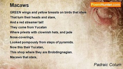 Padraic Colum - Macaws