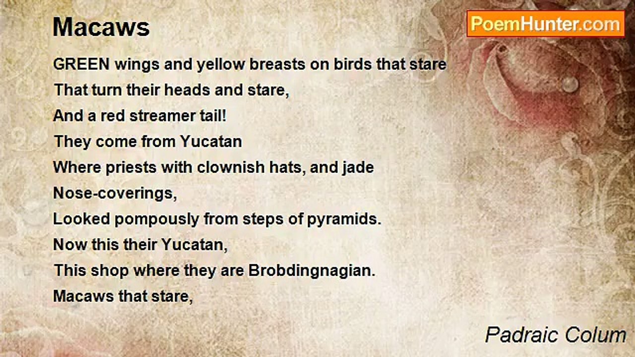 Padraic Colum - Macaws