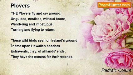 Padraic Colum - Plovers