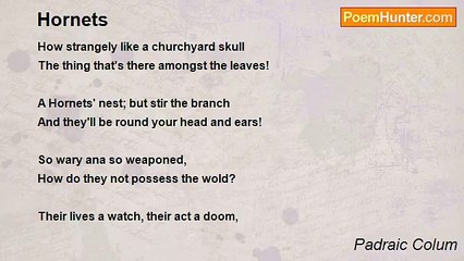 Padraic Colum - Hornets