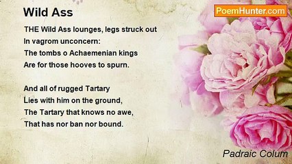 Padraic Colum - Wild Ass