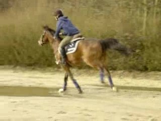 Soph et nep' dans les stalles de départ