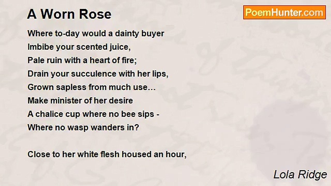 Lola Ridge - A Worn Rose