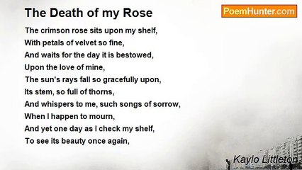 Kaylo Littleton - The Death of my Rose