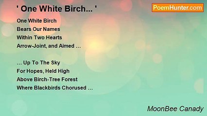 MoonBee Canady - ' One White Birch... '