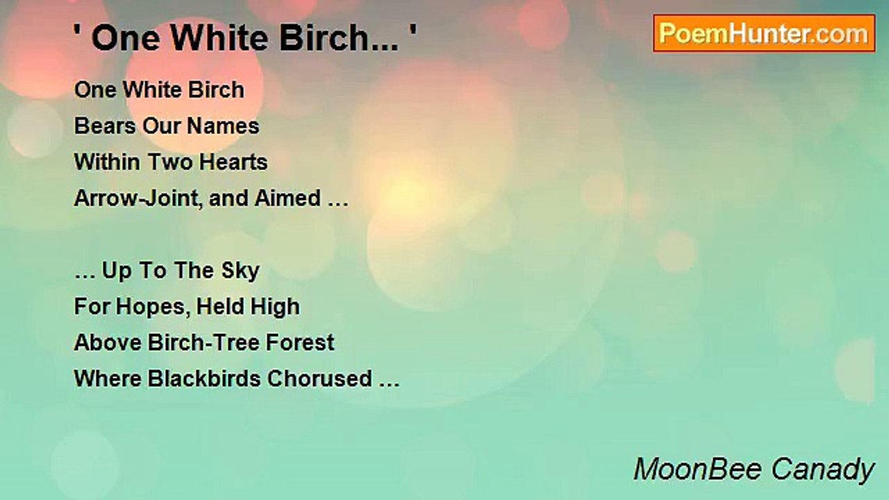MoonBee Canady - ' One White Birch... '
