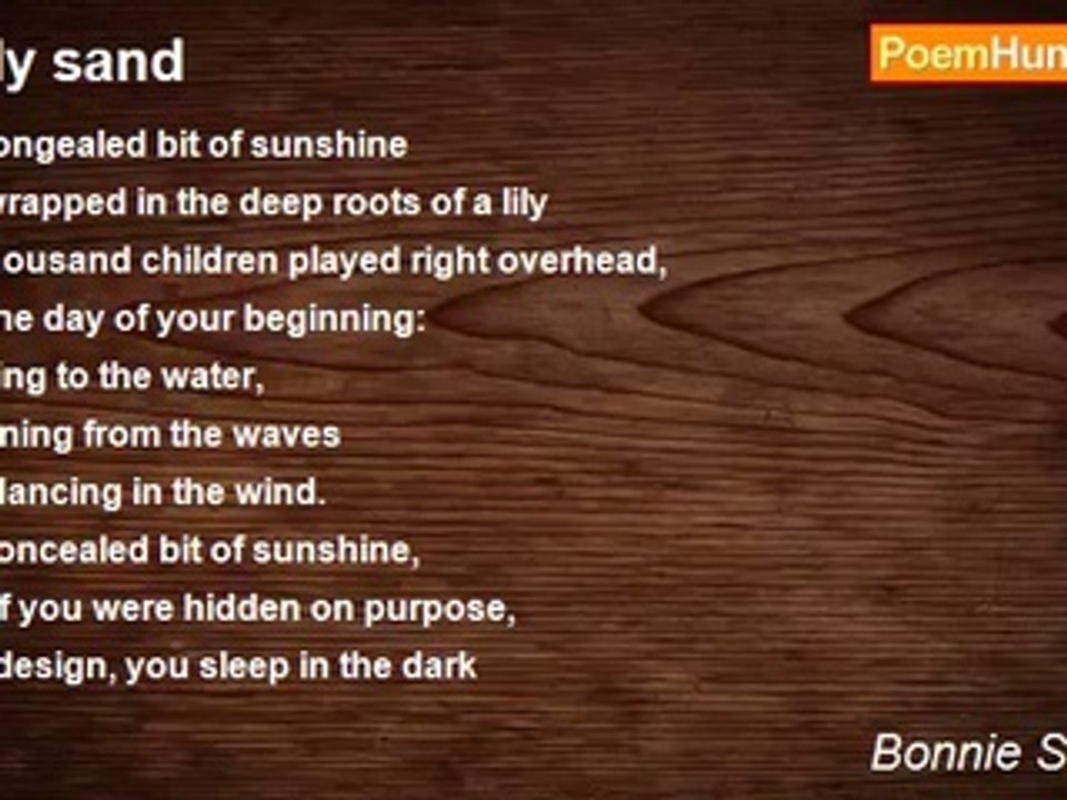 Bonnie Shipman - Lily sand