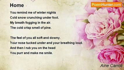 Aine Carroll - Winter Nights 🌙