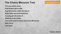 Kylee Bartz - The Cherry Blossom Tree