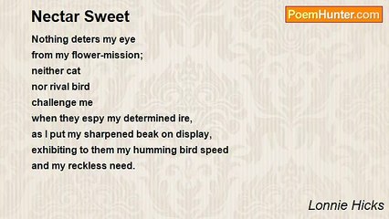 Lonnie Hicks - Nectar Sweet