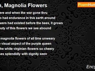 Ency Bearis - Ah, Magnolia Flowers