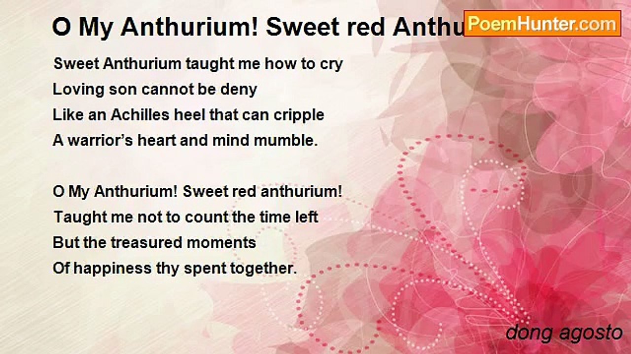 dong agosto - O My Anthurium! Sweet red Anthurium!