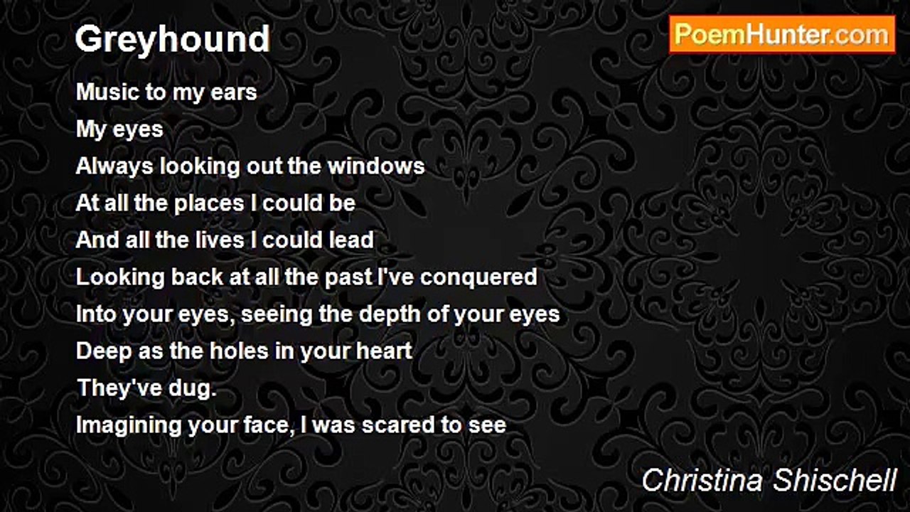 Christina Shischell - Greyhound
