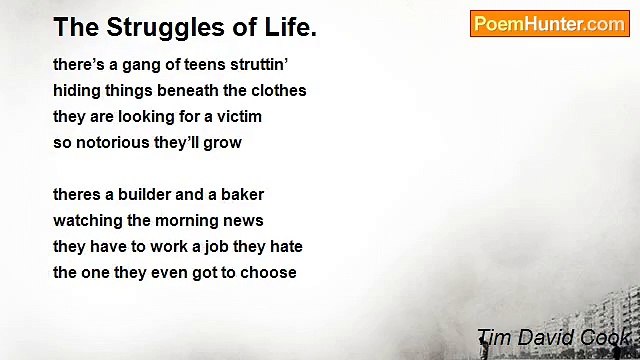 Tim David Cook - The Struggles of Life.