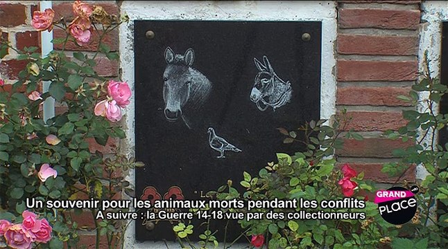 Grand'Place du 11 novembre 20114