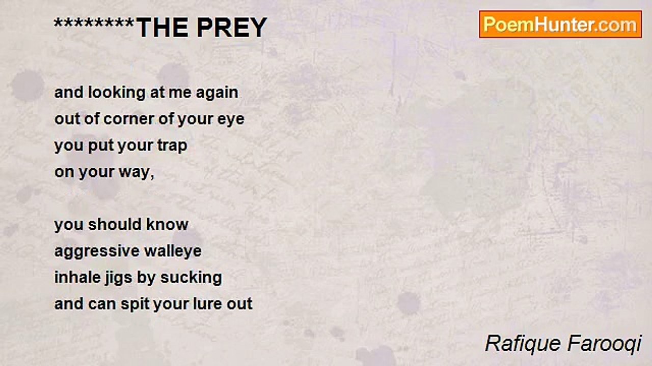 Rafique Farooqi - ********THE PREY