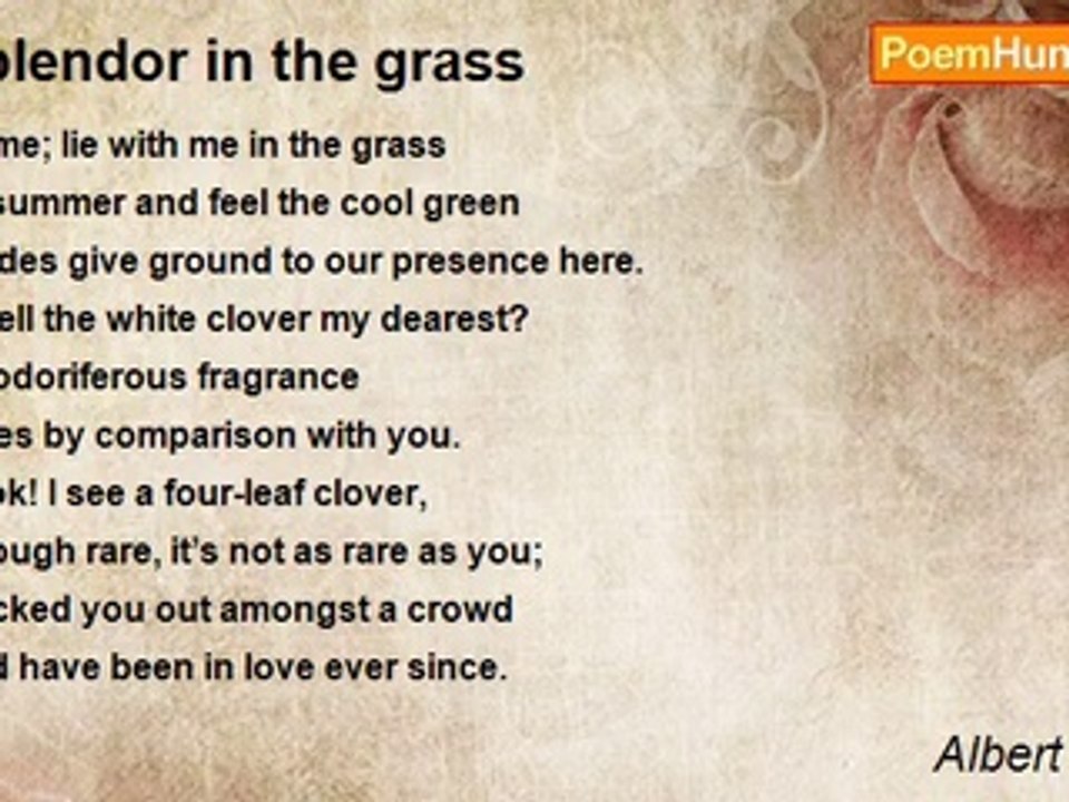 Albert Ahearn - Splendor in the grass