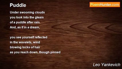 Leo Yankevich - Puddle