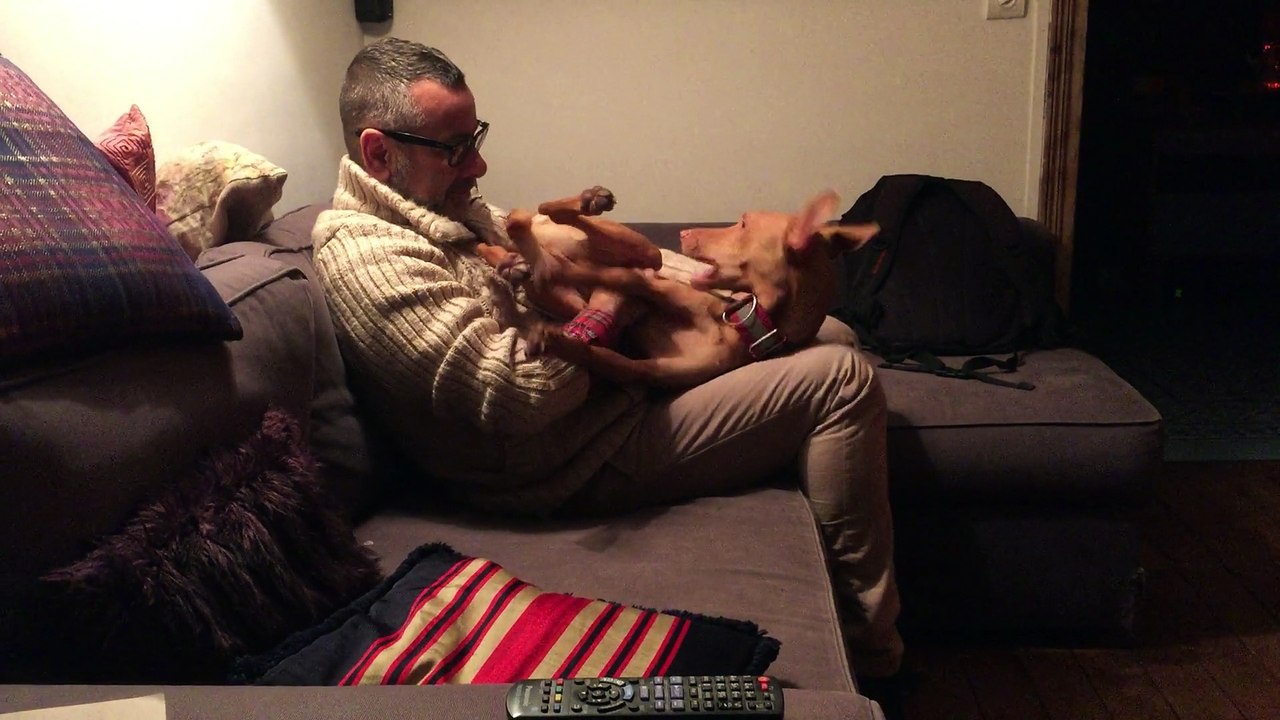 Aitch playing and being soppy on the sofa with Alain