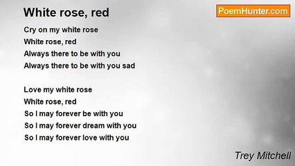 Trey Mitchell - White rose, red