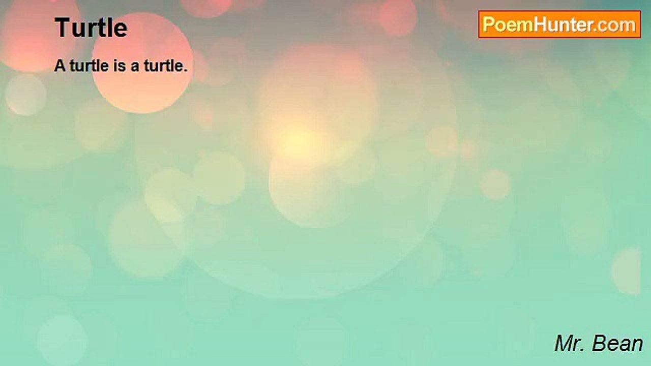 Mr. Bean - Turtle