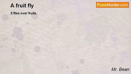 Mr. Bean - A fruit fly