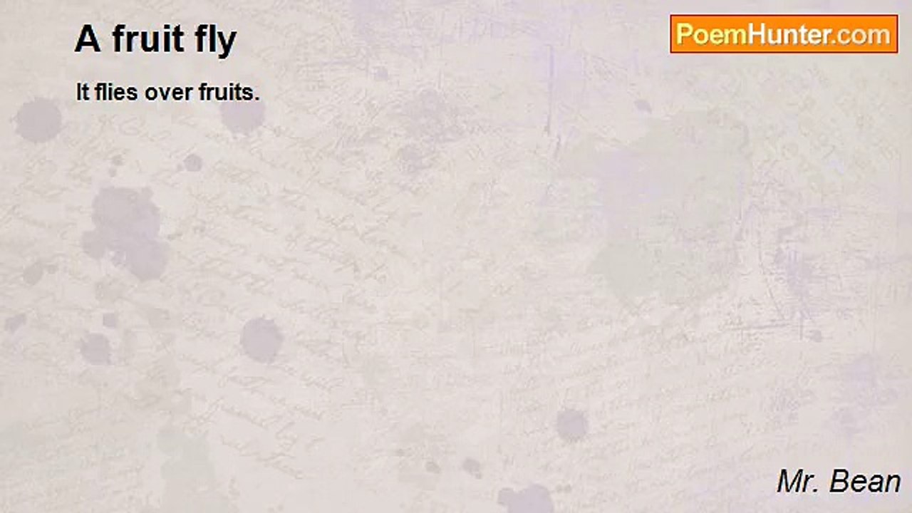 Mr. Bean - A fruit fly