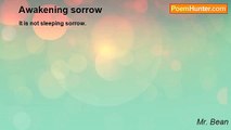 Mr. Bean - Awakening sorrow