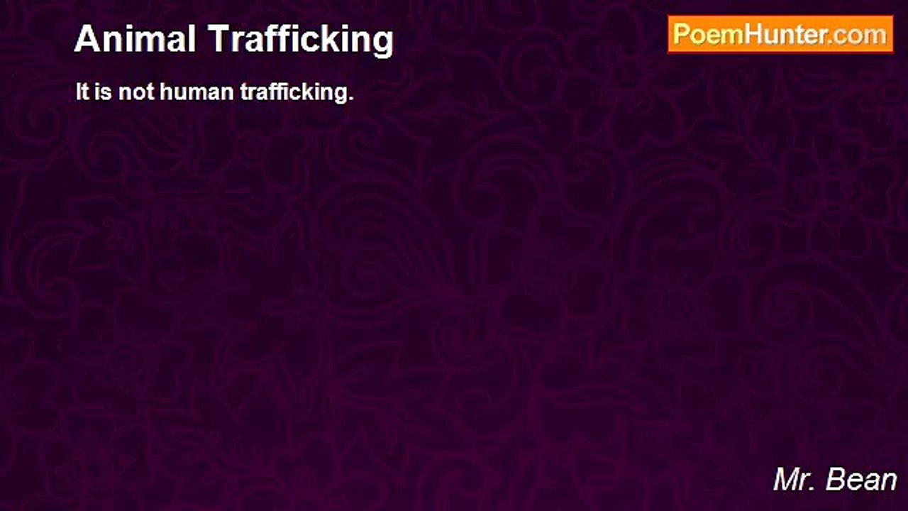 Mr. Bean - Animal Trafficking
