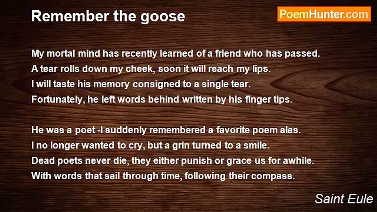 Saint Eule - Remember the goose