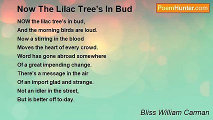 Bliss William Carman - Now The Lilac Tree’s In Bud
