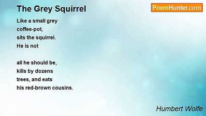 Humbert Wolfe - The Grey Squirrel