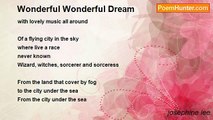 josephine lee - Wonderful Wonderful Dream