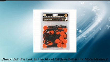 IIT 74570 6-Inch Ball Bungee Assortment, 24-Piece Review