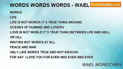 Wael Moreicheh: Words of Life and Love 🌊
