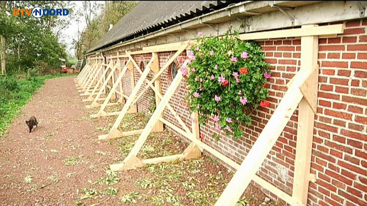 Archipunt: Ik denk dat het een sterk idee is - RTV Noord